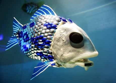 Robot Fish